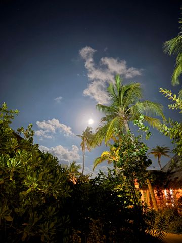 Mond beleuchtet den Himmel mit Wolken und üppiger Vegetation darunter
