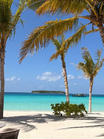 Türkisfarbenes Meer mit Palmen am Sandstrand und einer kleinen Insel im Hintergrund