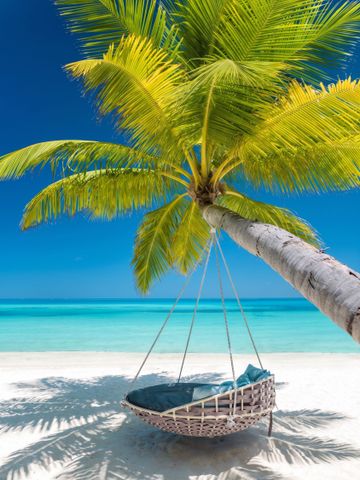 Hängematte unter einer Palme auf einem weißen Sandstrand mit türkisblauem Meer.