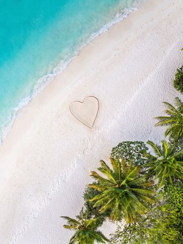 Herz im Sandstrand eingraviert neben türkisblauem Wasser und Palmen.