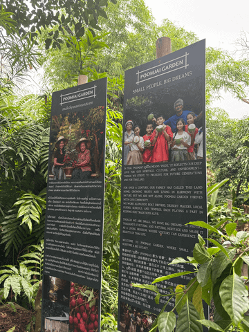 Zwischen üppigem tropischem Grün taucht ein schlichtes Plakat des Poomjai Garden auf – fast versteckt zwischen Palmenblättern und Farnen. 