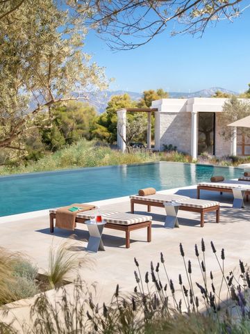 Infinity Pool mit Liegen und Sonnenschirmen, umgeben von Olivenbäumen, mit Blick auf das Meer
