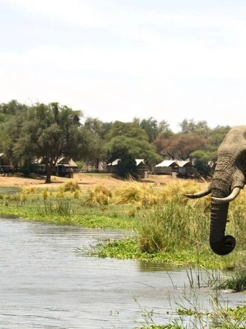 Elefant am Flussufer vor natürlicher Kulisse