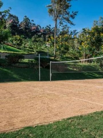 Sandvolleyballplatz umgeben von Bäumen und Büschen