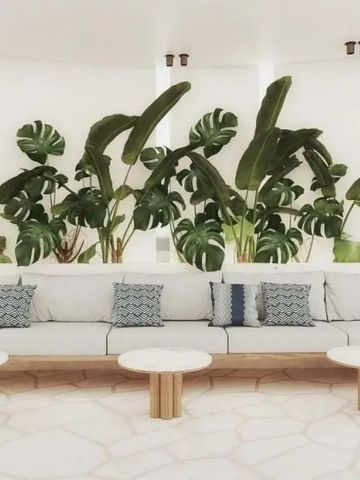 Stilvolle Lounge mit weißer Sitzbank und grünen Pflanzen im Hintergrund