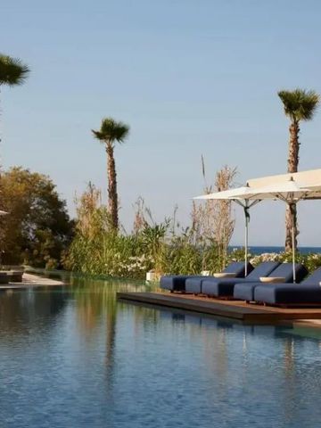 Infinity-Pool mit Palmen und Meerblick an einem sonnigen Tag