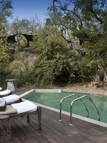 Infinity Pool umgeben von Bäumen und Liegen