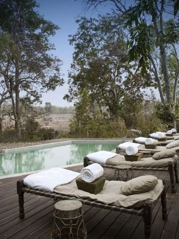 Sonnenliegen am Pool mit Wald im Hintergrund