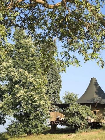 Elegantes Zelt im Grünen mit einzigartiger Architektur