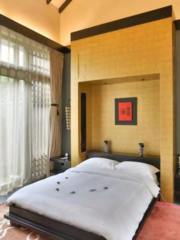 Helles Schlafzimmer mit goldener Wandakzent im Banyan Tree Lijiang