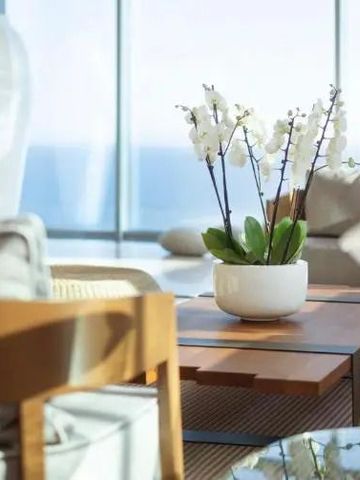 Modernes Wohnzimmer mit Orchideen auf dem Tisch und Panoramablick aufs Meer