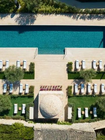 Luftaufnahme eines stilvollen Pools mit Sonnenliegen und üppiger Vegetation