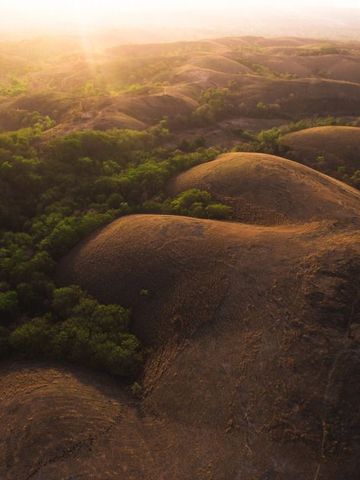 Landschaft mit sanften Hügeln und grünen Bäumen bei Sonnenuntergang