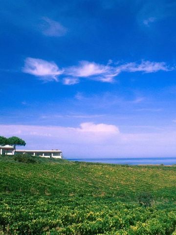 Weite Landschaft mit Blick auf Weinberge und Meer im Capofaro Resort