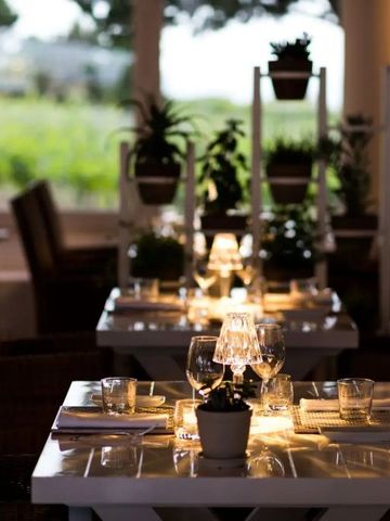 Gemütlich beleuchteter Tisch im Restaurant mit Pflanzen und Blick auf Natur