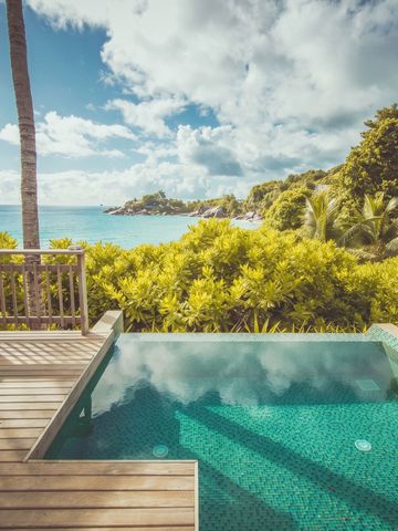 Privater Pool mit Meerblick und Palmen im Carana Beach Hotel.