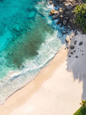 Nahaufnahme eines weißen Sandstrandes mit türkisfarbenem Wasser und Palmen im Cheval Blanc Seychelles