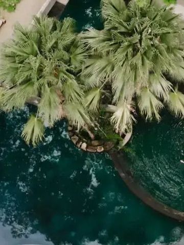 Luftaufnahme eines Pools mit Palmen und Gästen
