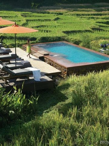 Infinity Pool mit Blick auf Reisfelder und Natur
