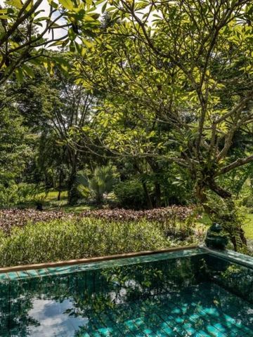 Privater Infinity-Pool mit Blick auf üppigen tropischen Garten