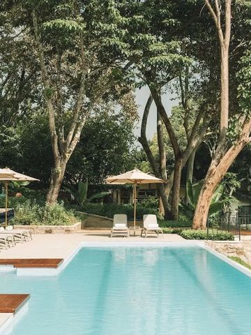 Moderner Pool umgeben von hohen Bäumen und Liegestühlen