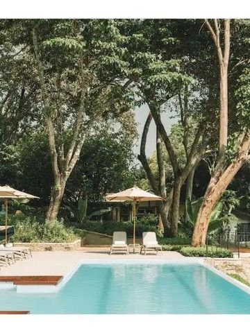 Großer Pool mit Liegestühlen und Sonnenschirmen im Grünen