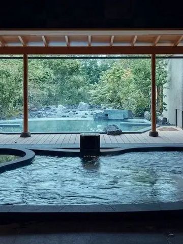 Luxuriöser Innenpool mit Aussicht auf grünen Garten