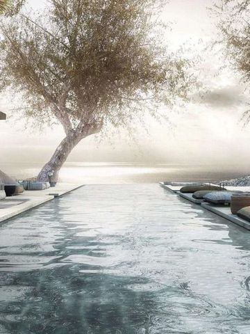 Infinity-Pool mit atemberaubendem Meerblick und Baum im Hintergrund