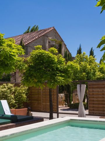 Poolbereich mit Liegen und umgeben von Bäumen und Natur im Hacienda Zorita Hotel