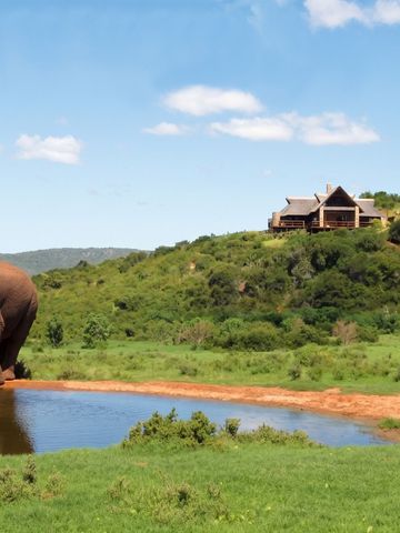Elefant an einem Wasserloch vor einem luxuriösen Hotel in hügeliger Landschaft