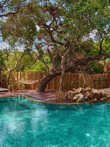 Pool umgeben von Bäumen und Natur mit komfortablen Liegestühlen