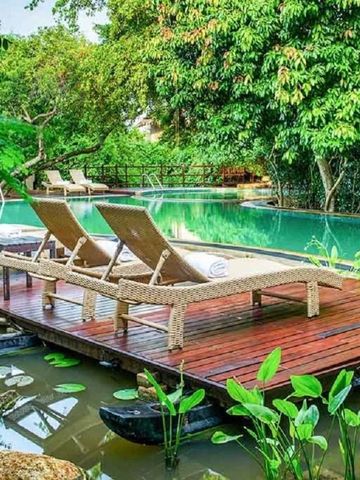 Sonnenliegen am Pool mit üppiger tropischer Vegetation