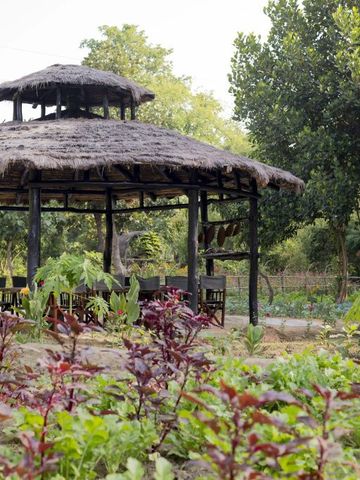 Gemütliche Gartenlaube mit Strohdach umgeben von üppigem Grün