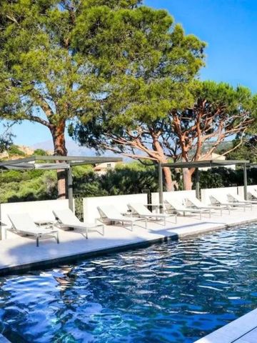 Poolbereich mit Liegen und großen Bäumen unter blauem Himmel