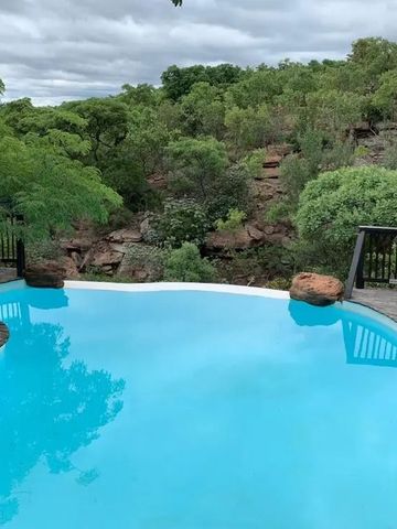 Infinity Pool mit Wald im Hintergrund