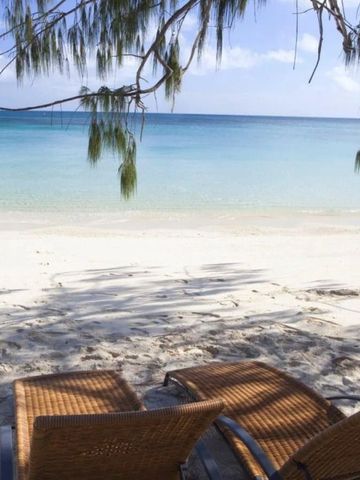 Zwei Liegestühle unter einem Baum mit Blick auf den türkisfarbenen Strand