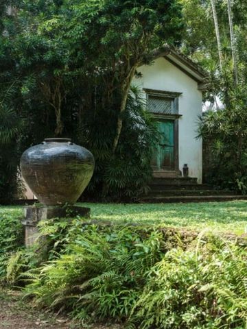 Gartenansicht mit üppigem Grün und rustikaler Struktur im Hintergrund