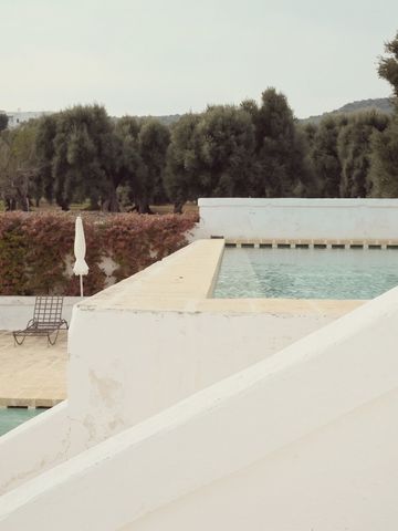 Infinity Pool mit Blick auf grüne Olivenhaine.