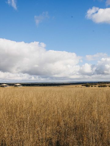 Reihe der Safari-Lodge-Zelte am Horizont hinter hohem goldenem Gras