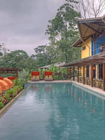 Poolbereich mit orangen Liegen vor üppigem tropischen Hintergrund