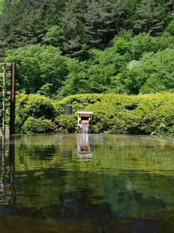 Geheimnisvoller Garten mit reflektierendem Wasser und grüner Umgebung.
