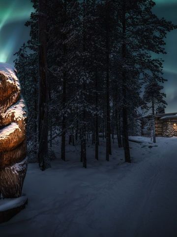 Geschnitzte Bärenfigur aus Holz vor der Karhu-Bar im verschneiten Wald unter Nordlichtern