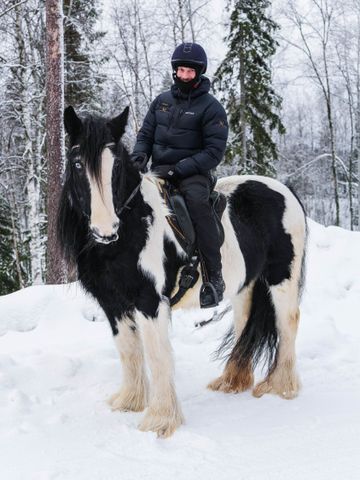Reiterin auf einem gescheckten Pferd zwischen verschneiten Birken