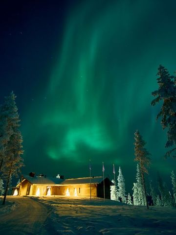 Grüne Nordlichter über verschneiten Bäumen und einem beleuchteten Gebäude im Wald
