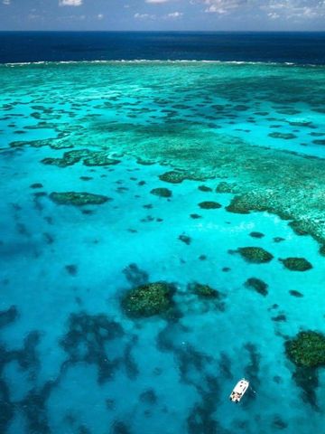 Klares türkisfarbenes Wasser mit Korallen im Great Barrier Reef