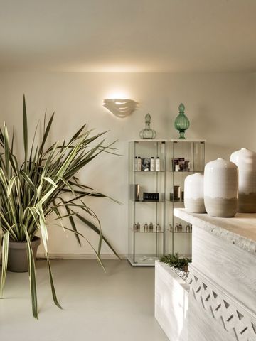 Eleganter Spa-Bereich mit Pflanzen und minimalistischer Dekoration