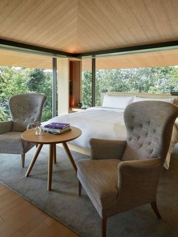 Luxuriöses Zimmer mit großen Fenstern und bequemen Sesseln, Blick ins Grüne