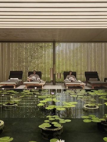 Entspannungsbereich mit Liegestühlen und Seerosen an einem Teich im Spa.