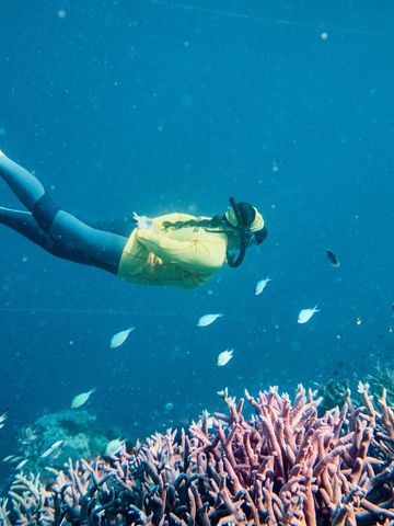 Schnorchlerin taucht über Korallen und einen Fischschwarm am Riff vor dem Reefworld-Ponton