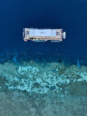 Luftbild des Pontons über dem Hardy Reef, links tiefblaues Wasser, rechts das flache Riffdach